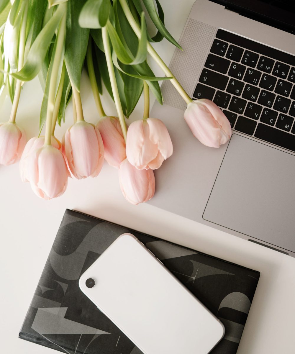 SSS Spring Desktop 11